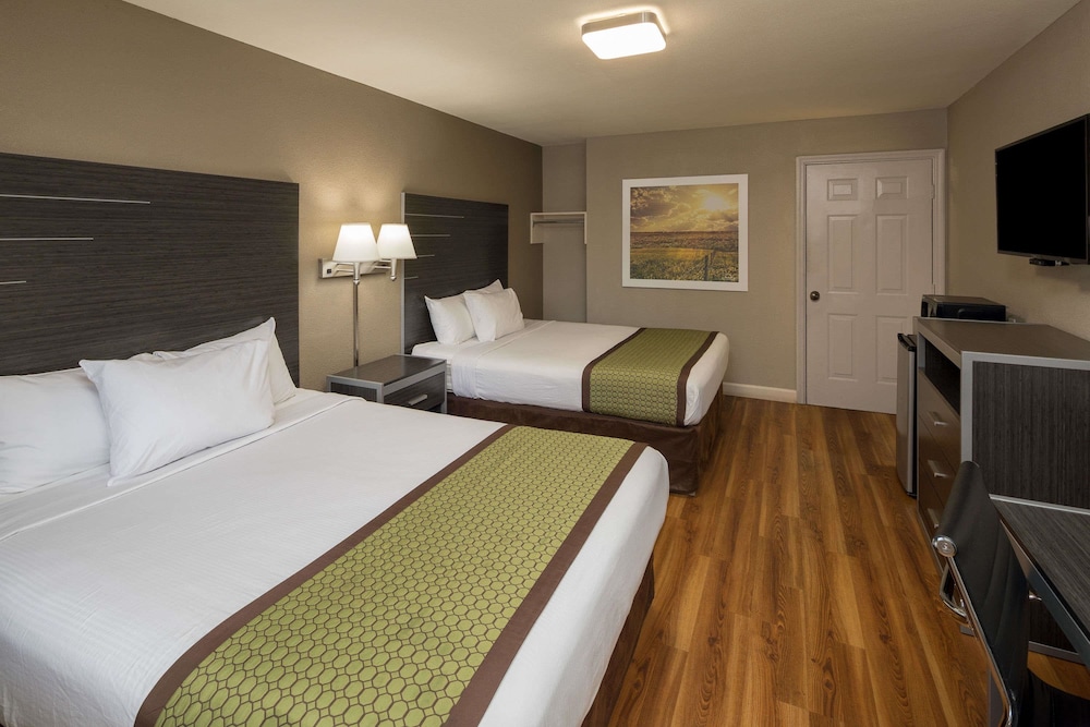 Clarion Pointe Athens I 65 - photo 15