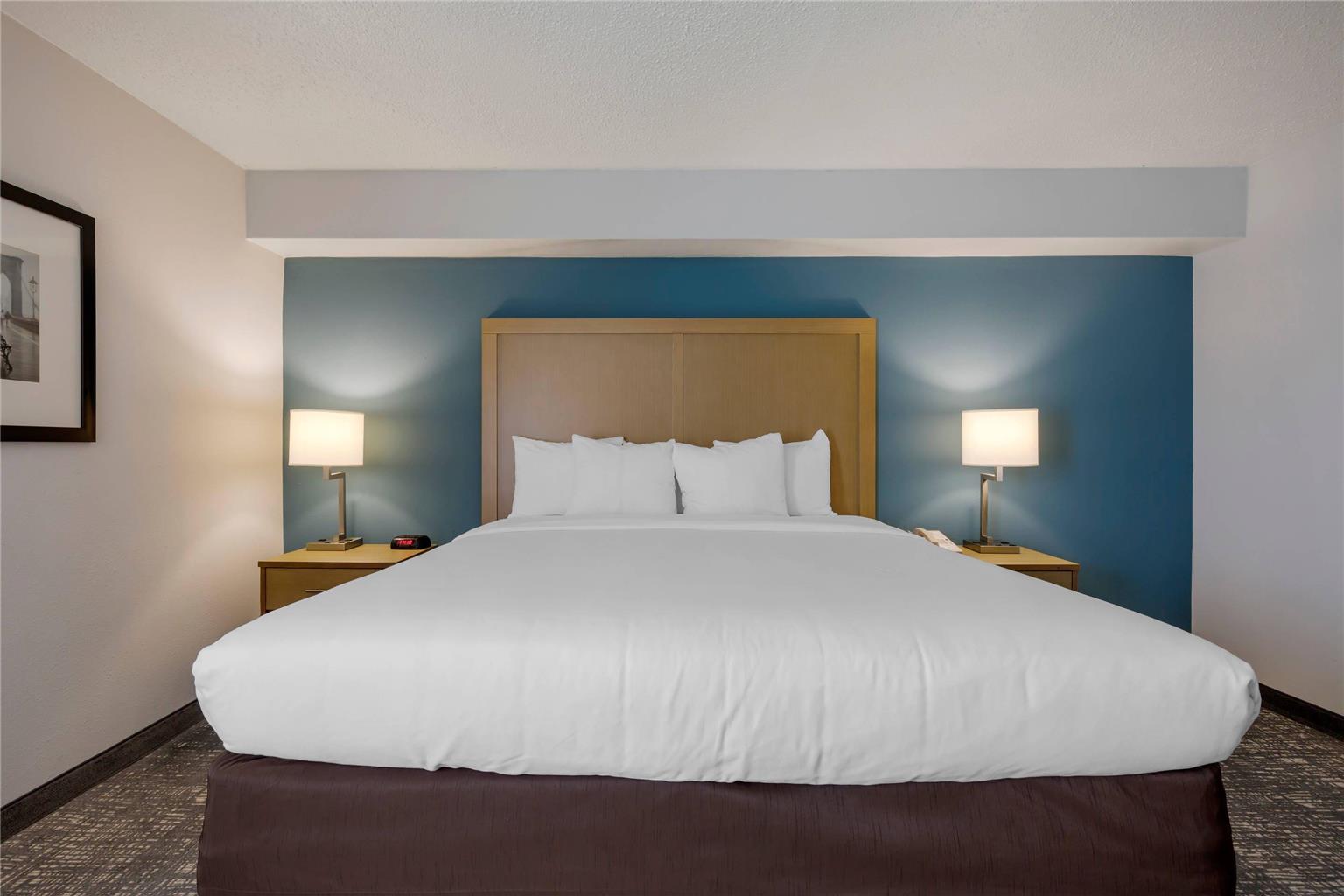 Comfort Inn & Suites Alexandria West - photo 6