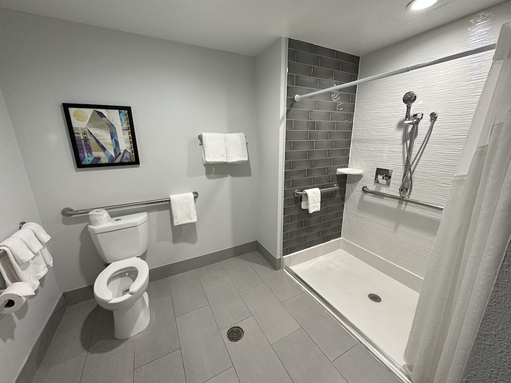 Holiday Inn Express Dallas Downtown - photo 34
