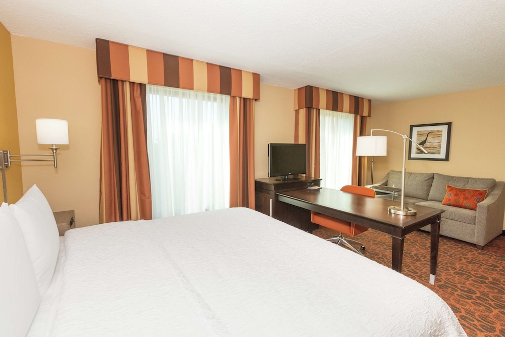 Hampton Inn Suites Jacksonville Airport - photo 21