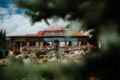 Hotel Lacu Rosu — Gheorgheni — photo 3