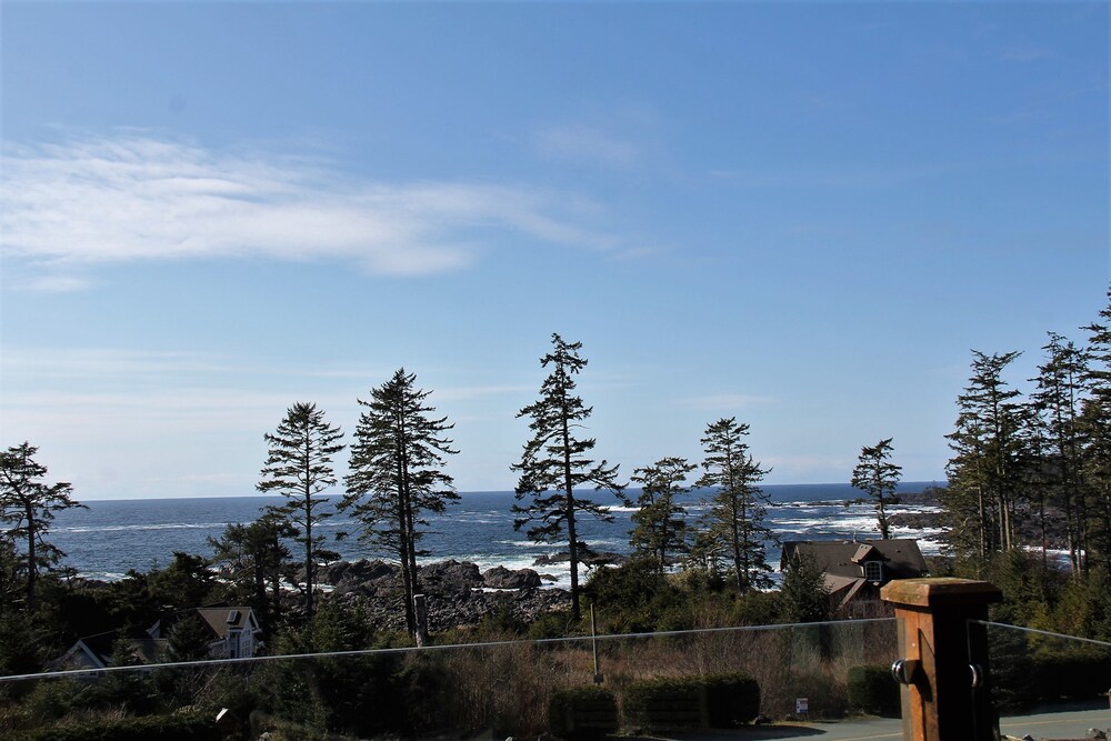 The Salt Shed in Ucluelet, Canada