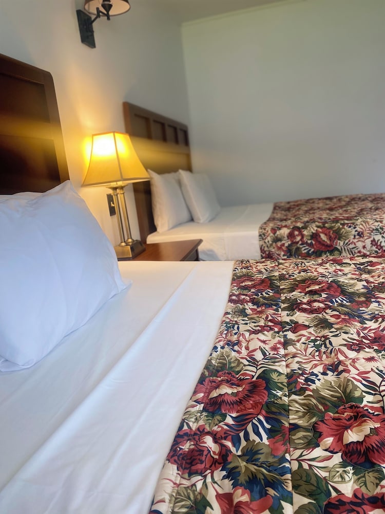 Barberry Court Motel - photo 9