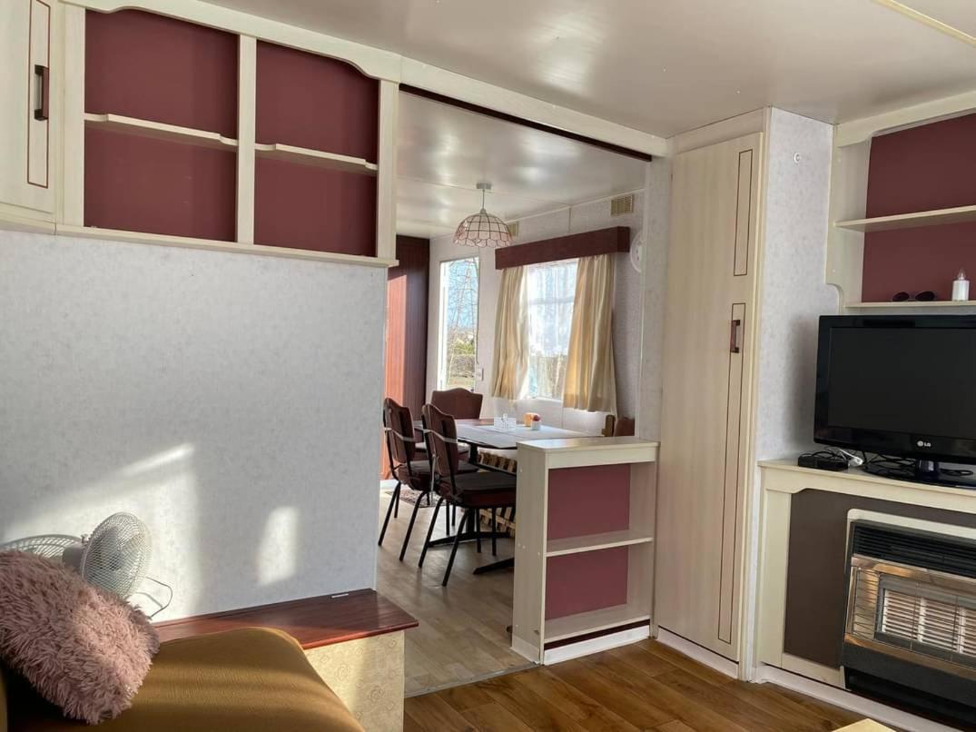 Przyczepa holenderska in Insko, Poland