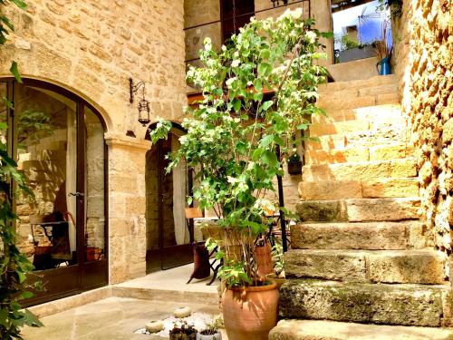 Un Patio en Luberon — hotel in Ansouis
