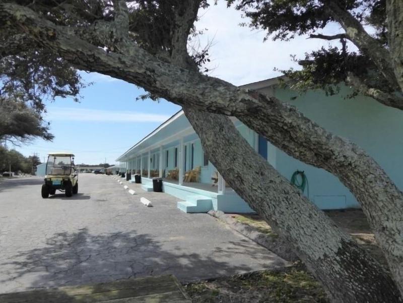 Swell Motel - photo 22