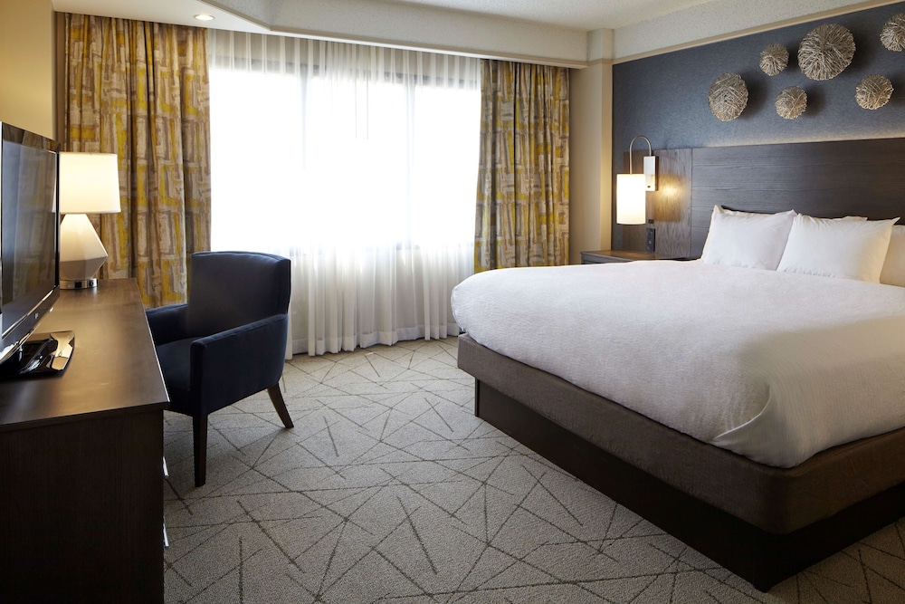 Embassy Suites by Hilton Atlanta Galleria - photo 10