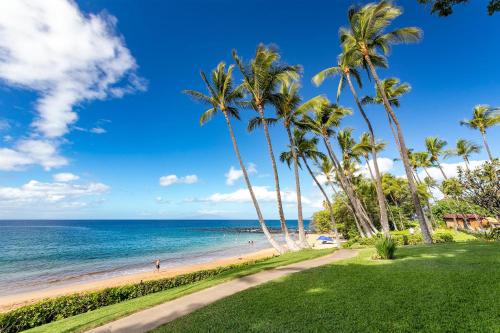 The Palms at Wailea 702 - photo 43