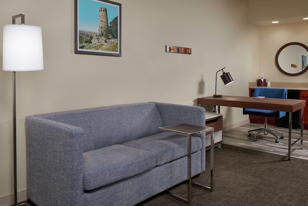 Hampton Inn & Suites Phoenix Surprise - photo 6