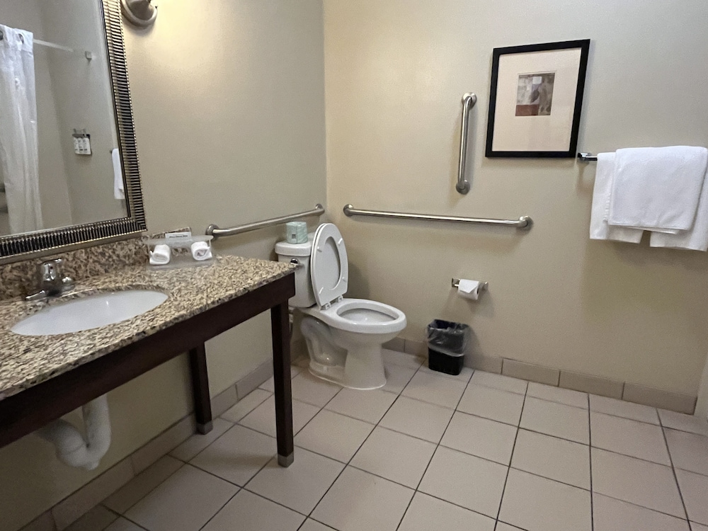 Holiday Inn Express Hotel and Suites Deming Mimbres Valley - photo 16