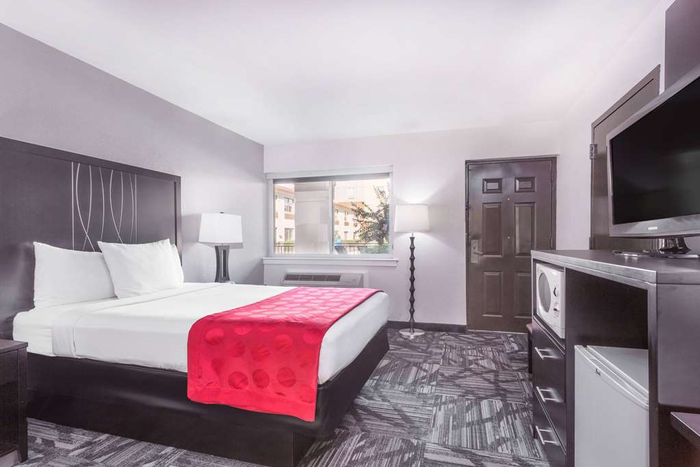 Ramada by Wyndham Tuscaloosa - photo 14