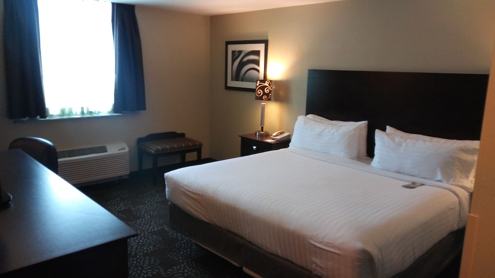 Holiday Inn Express & Suites Pittsburgh West Greentree by IHG - photo 19