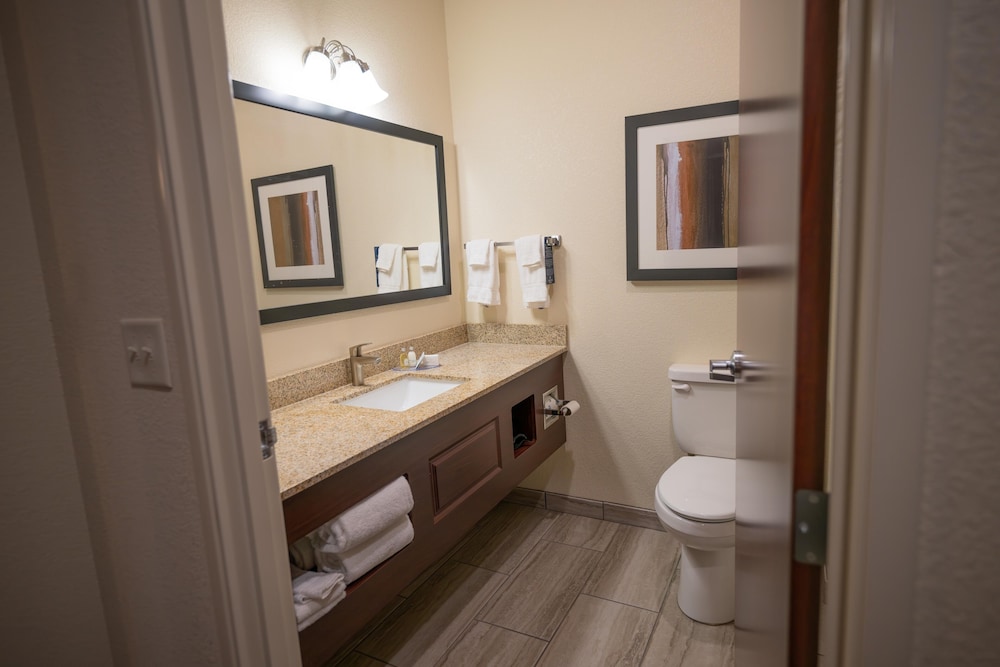 Cobblestone Hotel & Suites Lamar - photo 59