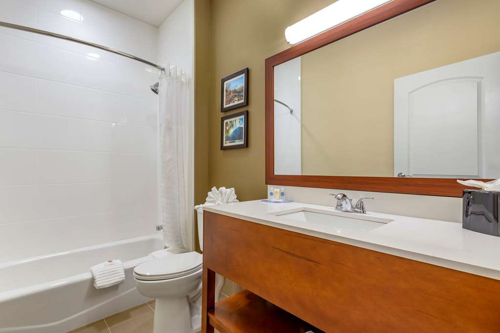 Comfort Inn Brewster - photo 15