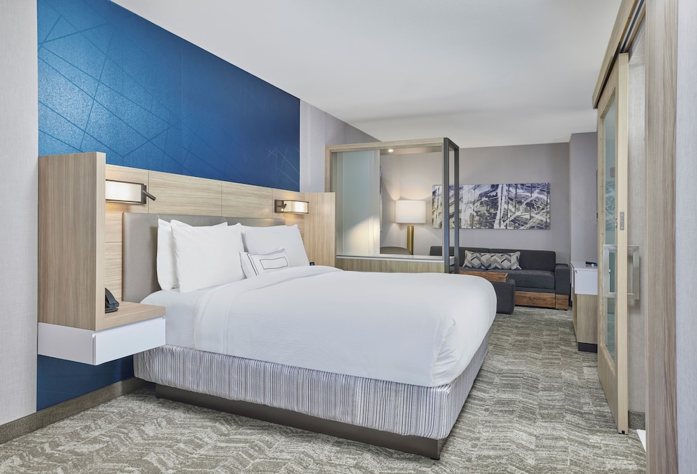 SpringHill Suites by Marriott Chicago Chinatown - photo 15
