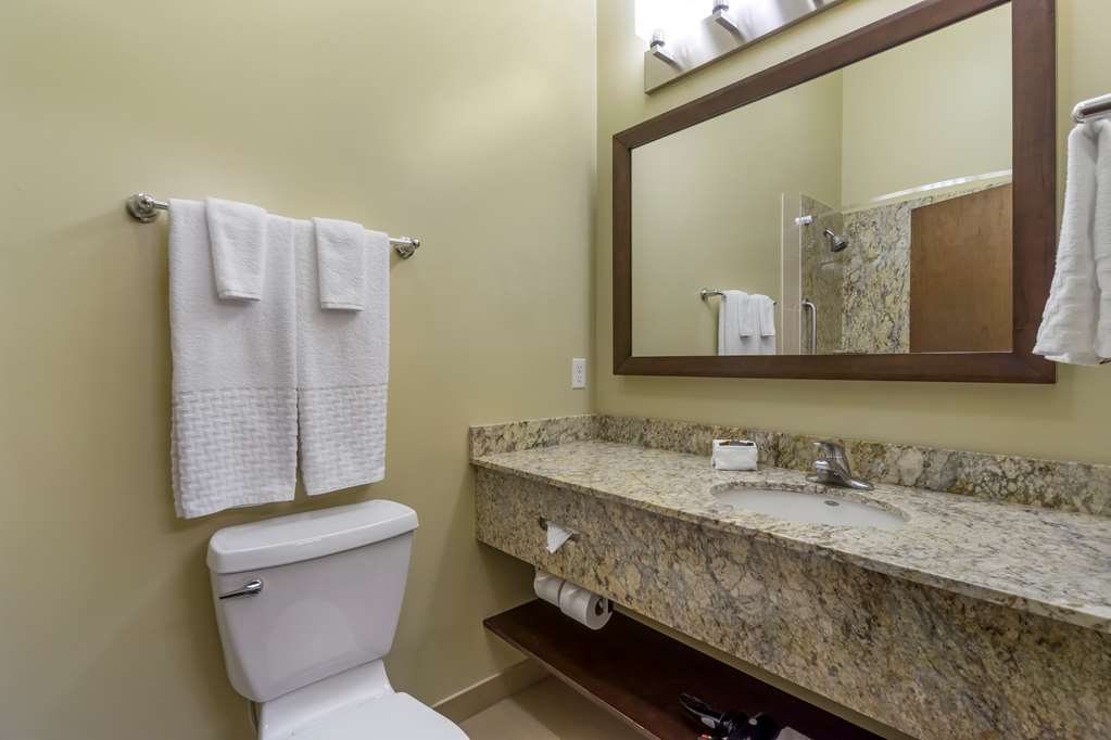 Best Western Plus Lacey Inn & Suites - photo 24