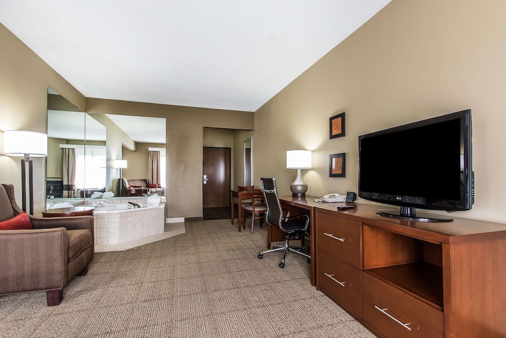 Comfort Suites Effingham Central - photo 15
