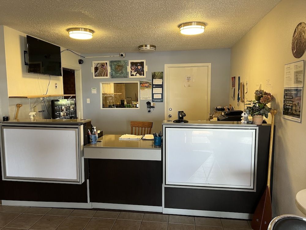 Lake Inn - photo 10