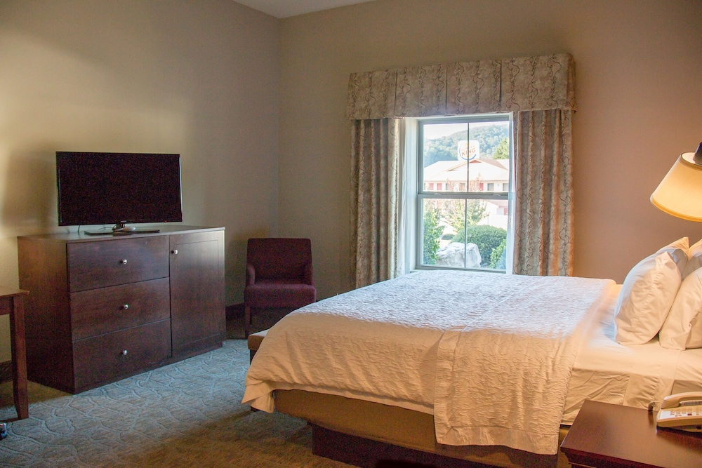 Hampton Inn Murphy - photo 20