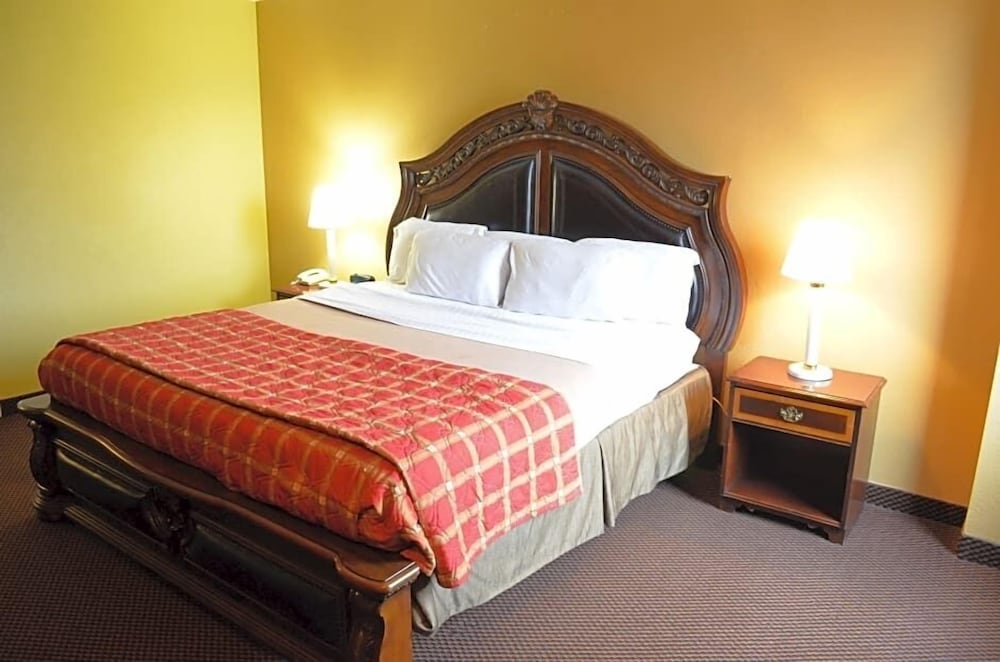 McLure Inn and Suites - photo 4