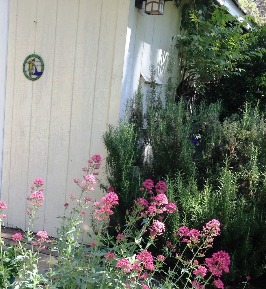 Backyard Garden Oasis - photo 49