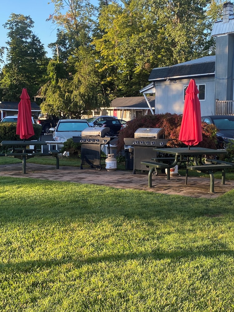 Barberry Court Motel - photo 39