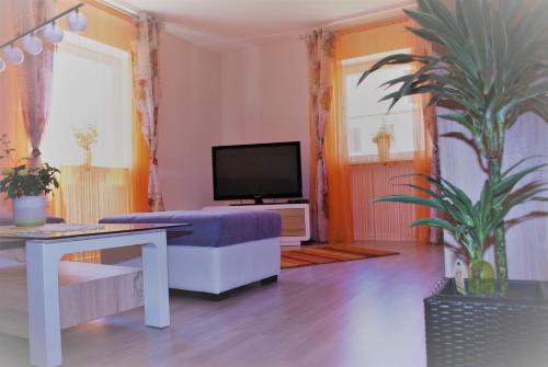 FeWo Lermann Marktheidenfeld — Marktheidenfeld — photo 5