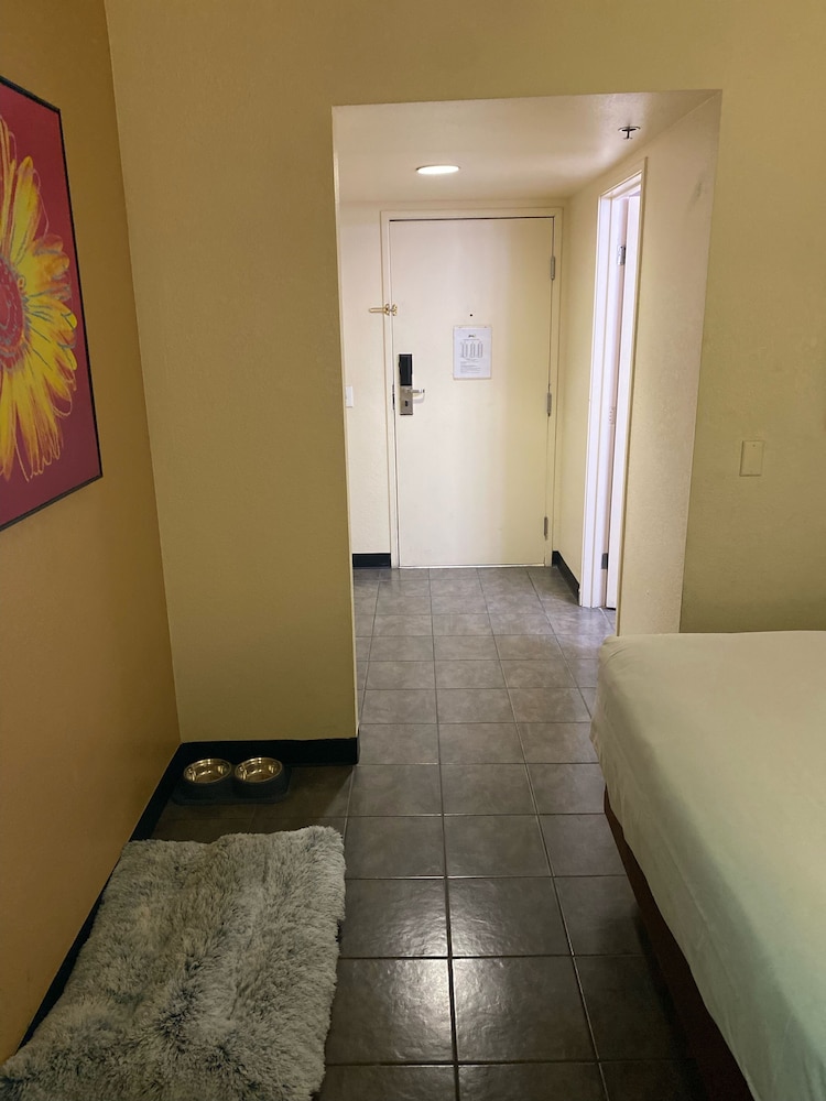 Hotel Jefe at Ojos Locos - photo 18