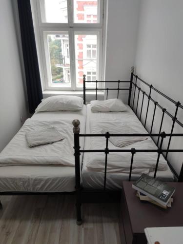 Botanic Garden Private Room - last minute hotel in Wroclaw