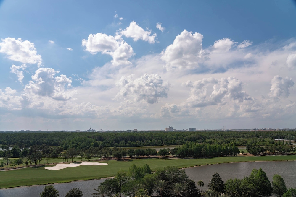 The Ritz Carlton Orlando Grande Lakes - photo 219
