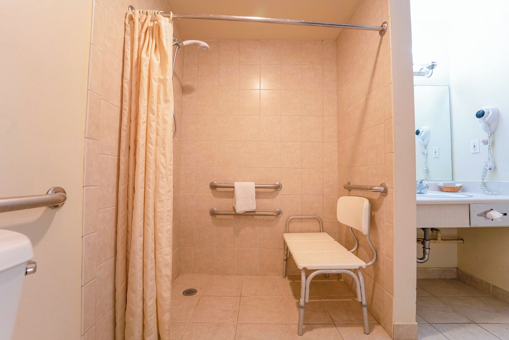 Royal Plaza Inn Indio - photo 78