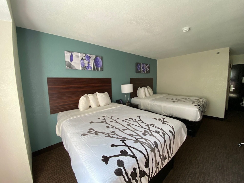 Sleep Inn Jacksonville Airport - photo 8