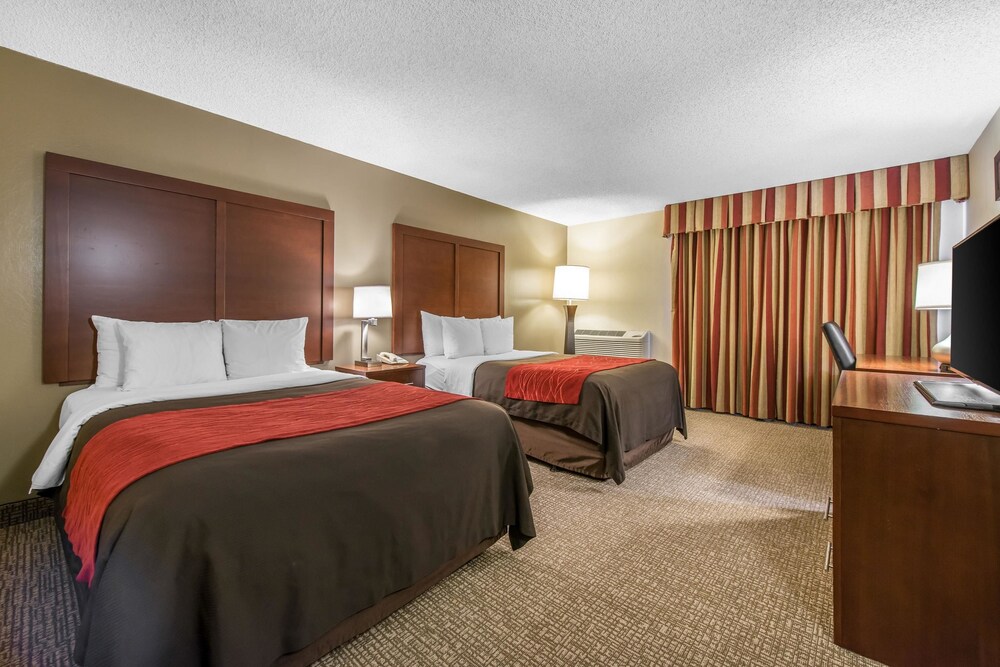 Comfort Inn & Suites Denver Northfield - photo 16