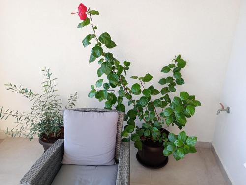 Nature Apartment Dubrovnik