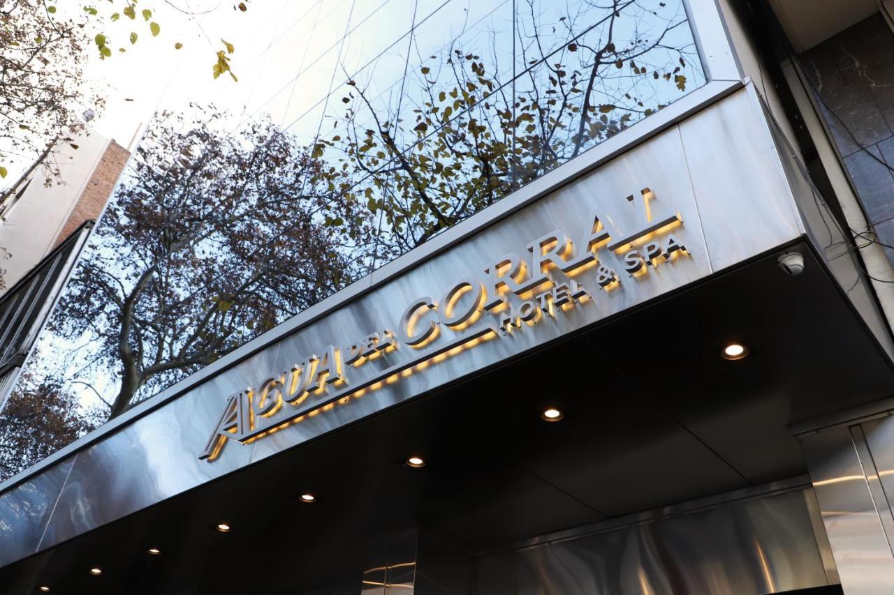 Niventus in Mendoza, Argentina