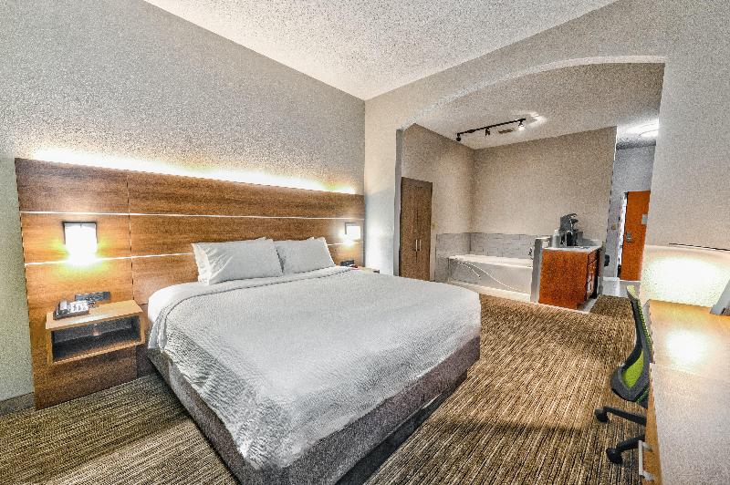 Holiday Inn Express Hotel & Suites Goshen by IHG - photo 41