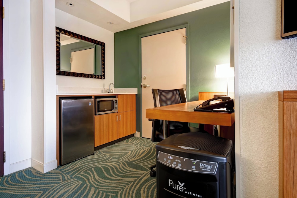 SpringHill Suites by Marriott Baltimore BWI Airport - photo 12