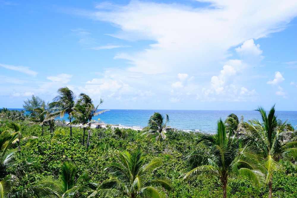 Palm Beach Singer Island Resort & Spa Luxury Suites - photo 227