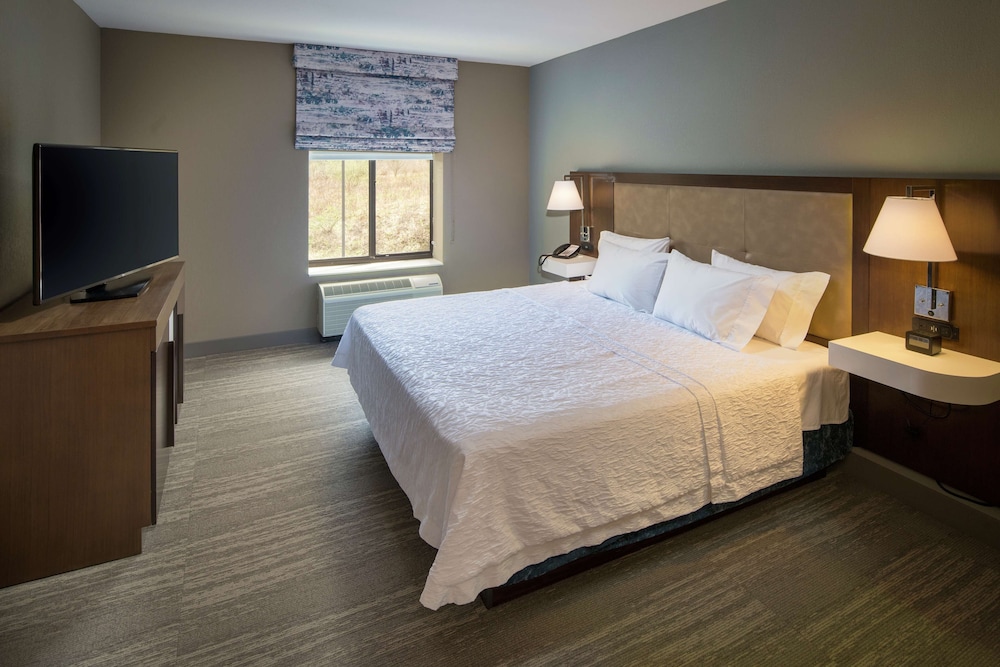 Hampton Inn & Suites Binghamton Vestal - photo 13