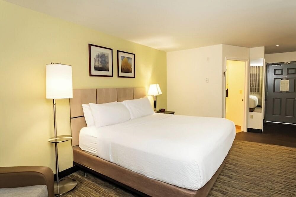 Candlewood Suites Roswell New Mexico by IHG - photo 20
