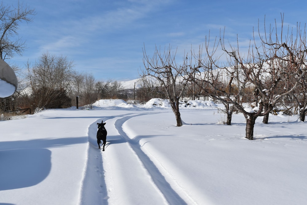 Warm Springs Inn & Winery - photo 51