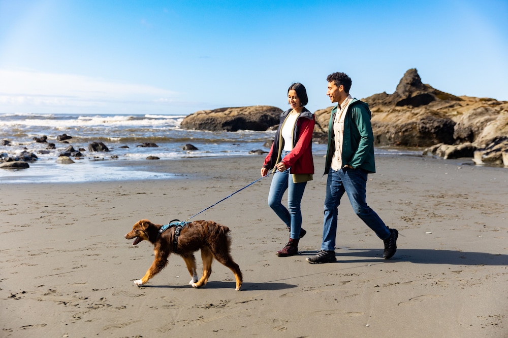 Kalaloch Lodge in Olympic National Park - photo 28