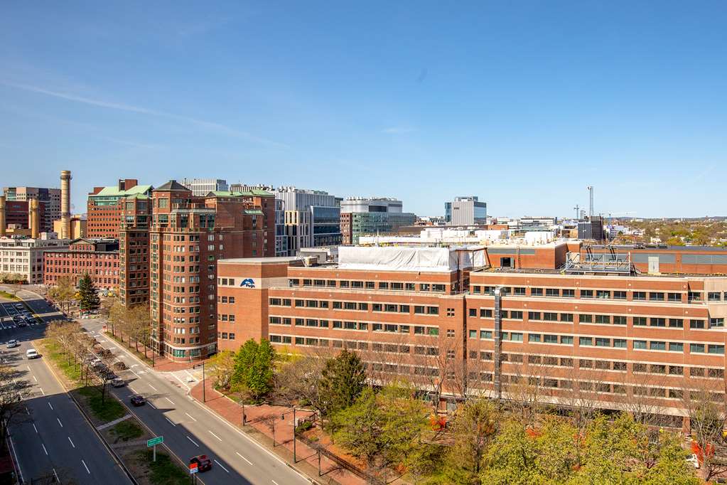 The Royal Sonesta Boston - photo 44
