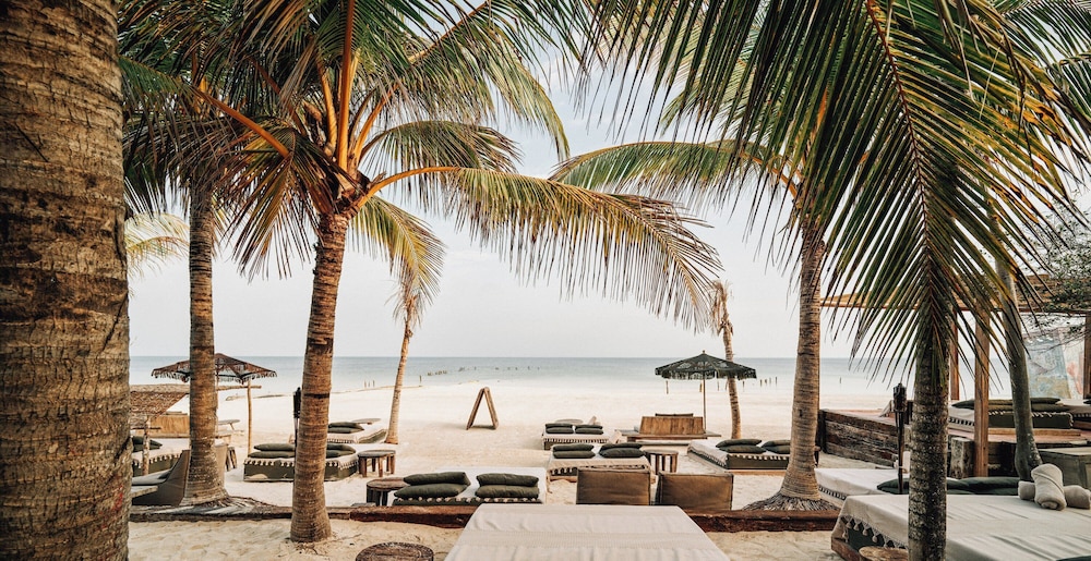 Beach bar