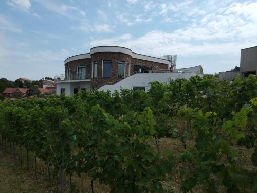 Johannesberg — hotel in Zajeci
