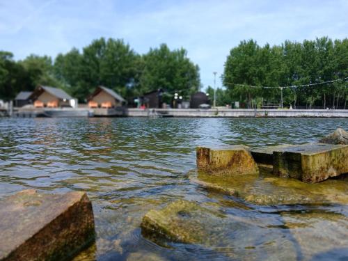 Safaritent 2 — Biddinghuizen — photo 4