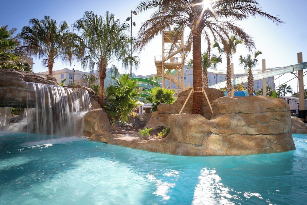 Gaylord Palms Resort & Convention Center - photo 51