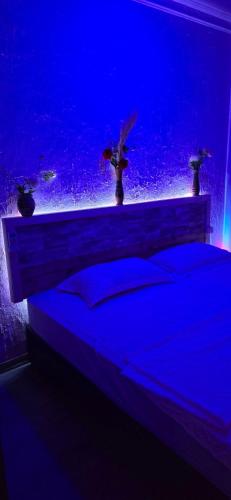 Manta Ray in Unknown City, Maldives