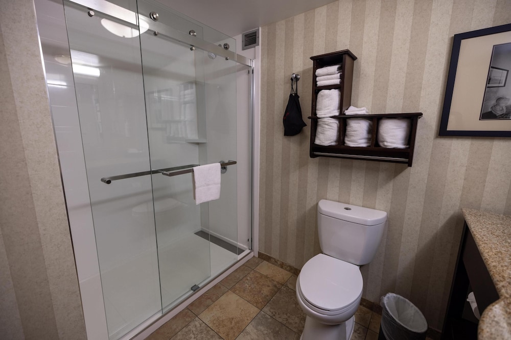 Hampton Inn Portsmouth Central - photo 44
