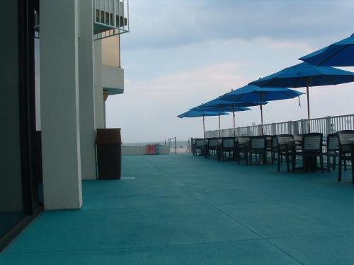 Bal Harbour Hotels - photo 54